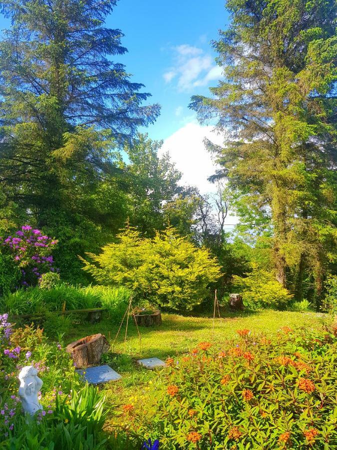Leenan View Country House Guest House Portsalon Eksteriør bilde